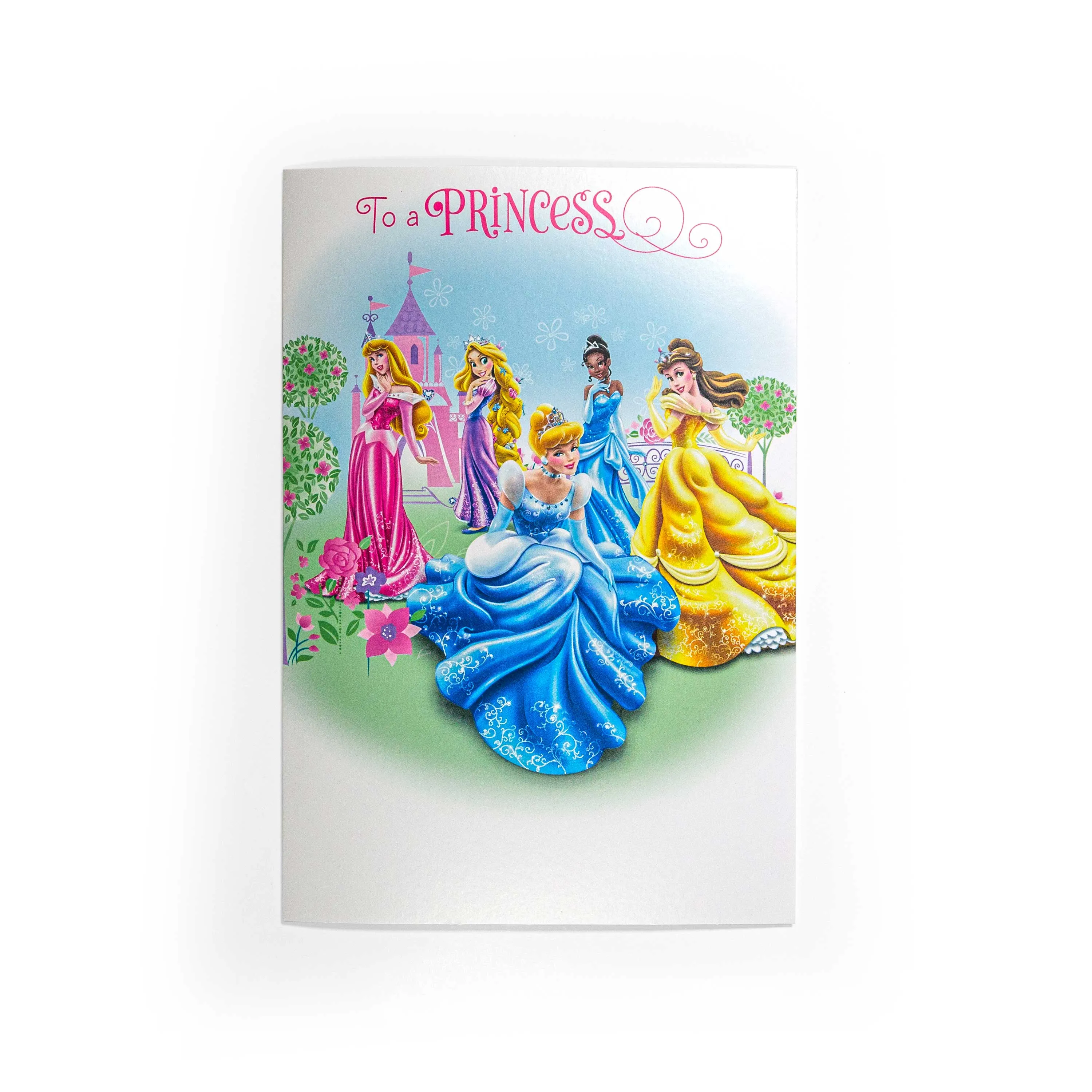 Disney Princess Fun Interactive Birthday Card