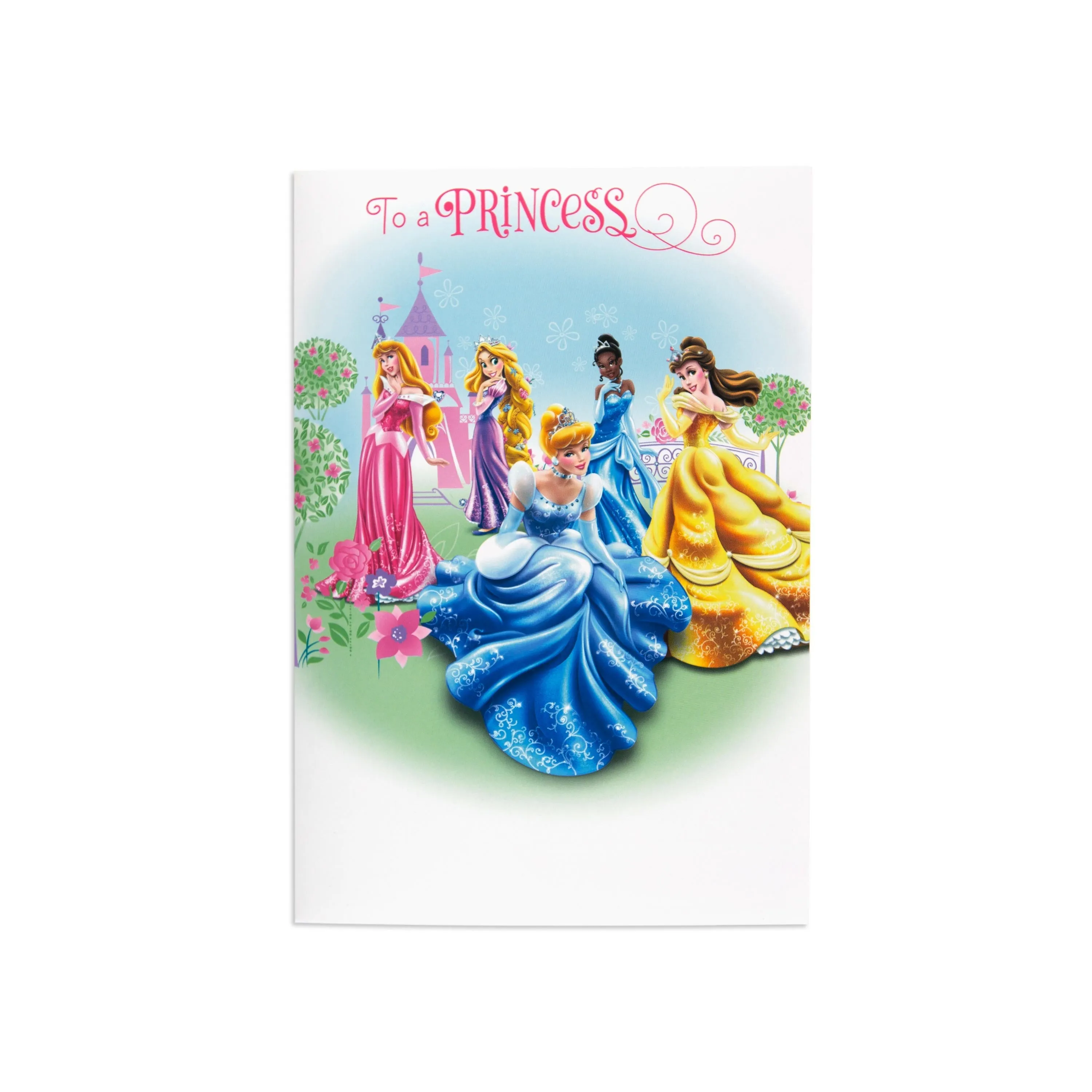 Disney Princess Fun Interactive Birthday Card