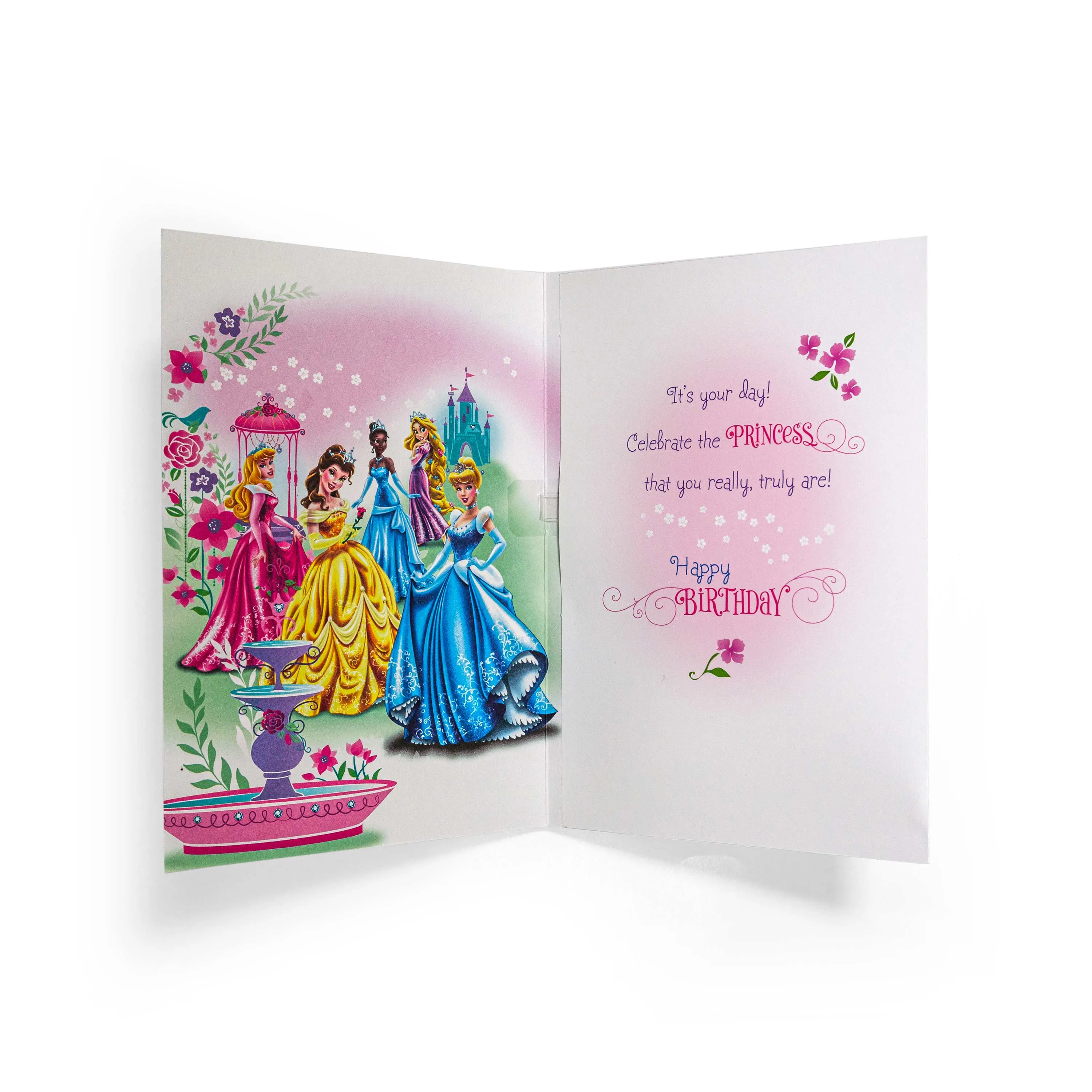 Disney Princess Fun Interactive Birthday Card