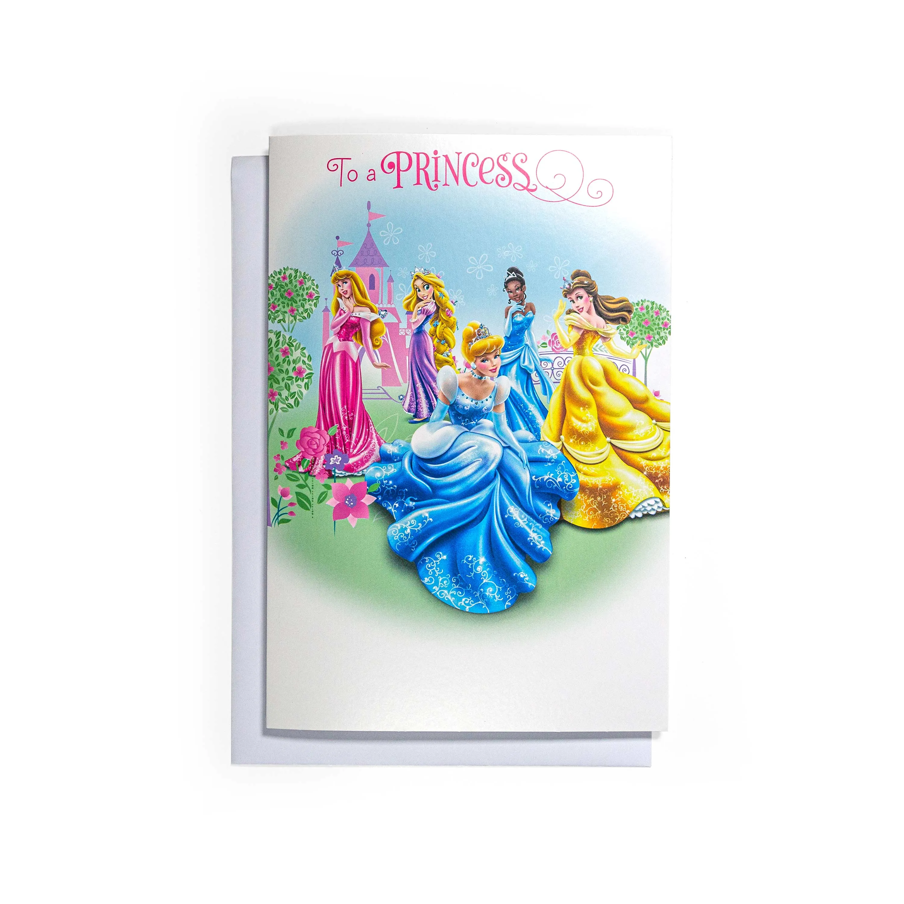 Disney Princess Fun Interactive Birthday Card