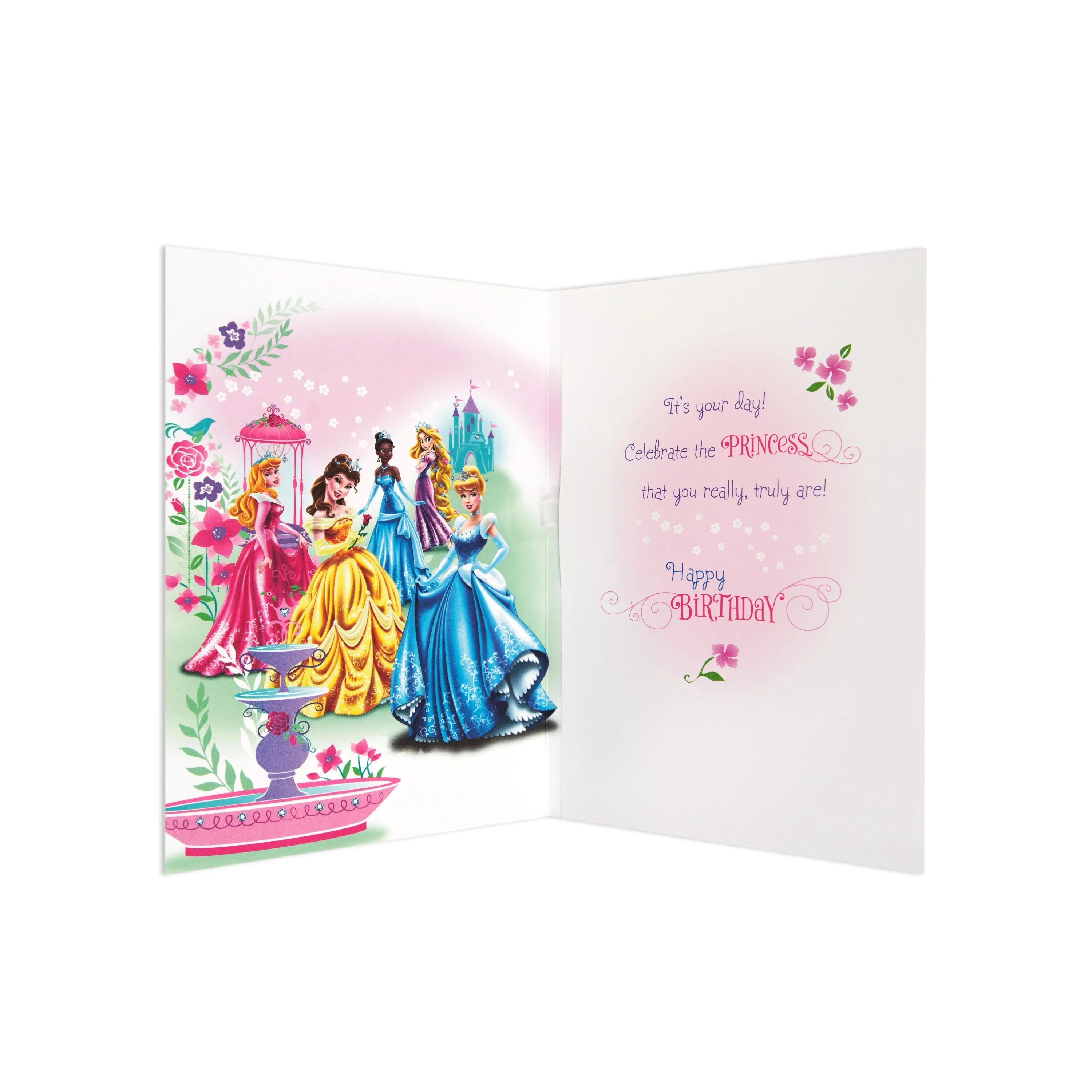 Disney Princess Fun Interactive Birthday Card