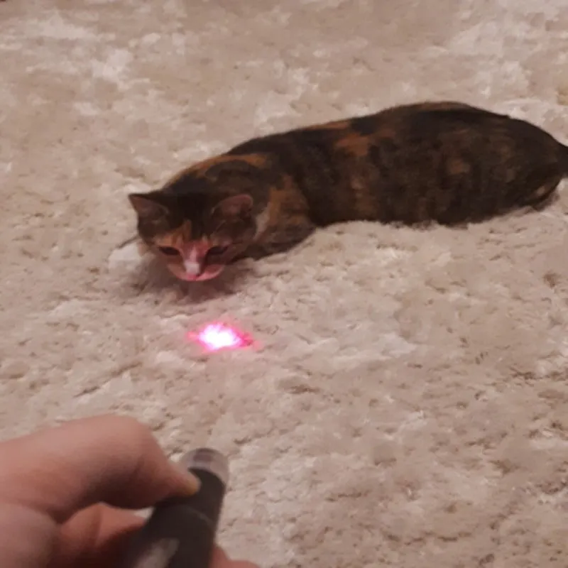 Laser Light Pet Interaction Cat Toy