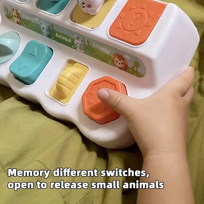 Pop-Up Cause and Effect Interactive Animals Sensory Set - 91A