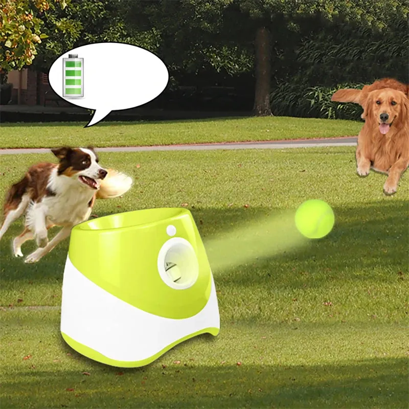 "Mini Tennis Ball Launcher – Perfect Indoor Fetch Fun for Small Pets!"